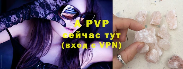 шишки Белоозёрский