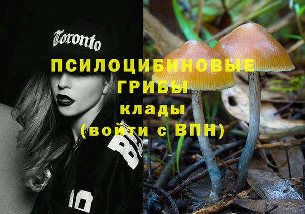 jwh Белокуриха