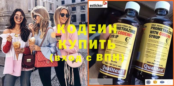 шишки Белоозёрский