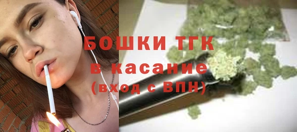 шишки Беломорск