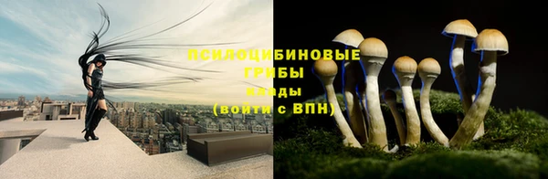 jwh Белокуриха