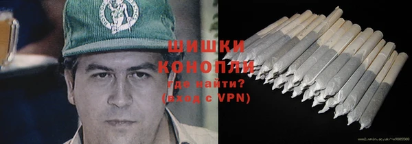 шишки Белоозёрский