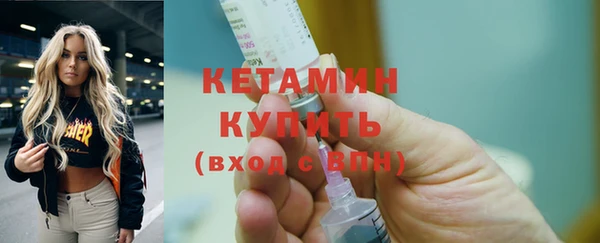 шишки Беломорск