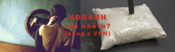 jwh Белокуриха