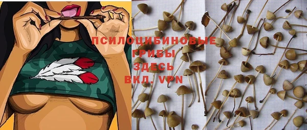 шишки Беломорск