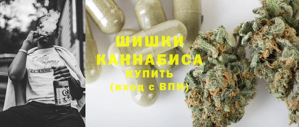 шишки Белоозёрский