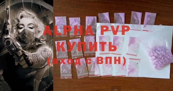 шишки Беломорск