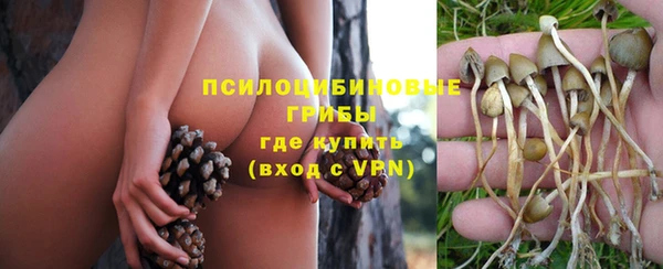 jwh Белокуриха