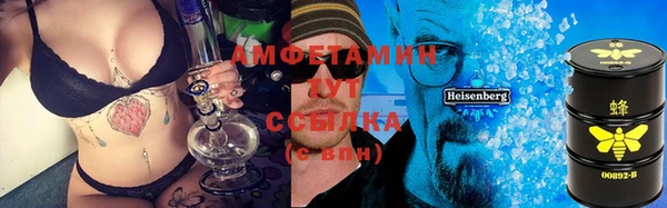 шишки Белоозёрский